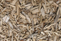 biomass boilers Sandhoe