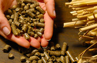 free Sandhoe biomass boiler quotes